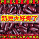 今年紅腰豆新豆云南大紅豆本地紅腰豆紅蕓豆大紅豆大粒四季豆干貨 云南特產(chǎn)紅腰豆 5 斤