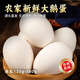 耕果妙新鮮大鵝蛋6枚1.56斤農(nóng)家散養(yǎng)新鮮鵝蛋130-160g/枚 源頭直發(fā) 包郵