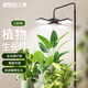 三思植物補(bǔ)光燈仿太陽室內(nèi)全光譜植物生長燈多肉補(bǔ)光燈展翅水草魚缸燈 【廣域補(bǔ)光版】-120W全光譜