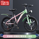 飛鴿兒童自行車(chē)6-12-18歲小學(xué)生中大童青少年超輕山地車(chē)男女小孩單車(chē) 【綠粉色】一體輪-變速+大禮包 18寸【適合身高120-140cm】