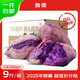 魯禧廣西新鮮紫薯 當(dāng)季精品紫薯地瓜 軟糯香甜健康輕食生鮮蔬菜 中果凈重9斤（單果約150-400g）