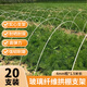 芷郁玻璃鋼拱棚支架塑料大棚支撐架拱形架防雨園藝拱桿4mm*1.5米20根