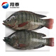 翔泰海南三去羅非魚/海南鯛1400g/共4條免處理 生鮮魚類 海鮮水產(chǎn) 
