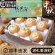 鑫果滋【順豐】正宗山東秋月梨 煙臺(tái)羊脂秋月梨冰糖蜜密梨中秋送禮水果 2.5斤（4-7個(gè)） 順豐