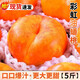 正宗山東蒙陰彩虹黃金油蟠桃新鮮油桃子脆甜水果應季黃心扁桃整箱 5斤 高品質(zhì)+一級甄選