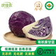 沈佳農有機紫甘藍無(wú)農殘無(wú)化肥無(wú)激素生鮮蔬菜沙拉廠(chǎng)家直發(fā)順豐冷鏈配送 有機紫甘藍400g/份*1份