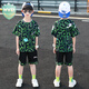 WVD國際品牌兒童裝男童套裝夏裝2025新款中大童冰絲短袖夏季薄款衣服洋帥氣潮 綠色 綠色 110 CM