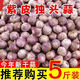 2025正宗紫皮大蒜頭批發(fā)現(xiàn)挖獨頭蒜紅皮獨蒜珍珠小頭干大蒜 源頭產(chǎn)地直銷【2cm以下（不含） （2.7斤凈重）