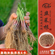 壽禾 韭菜根苗多茬蔬菜苗 稀植移栽四季韭菜根100棵帶肥源頭直發(fā)包郵