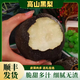 【順豐】黑梨大果新鮮烏黑梨四川5斤脆甜黑皮梨子孕婦水果高山原 5斤 大果