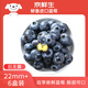 京鮮生 秘魯藍(lán)莓巨無霸22mm+ 6盒裝 125g/盒 新鮮水果 源頭直發(fā) 包郵
