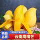 澤華果品新鮮鷹嘴芒 肉厚核小新鮮甜心芒果熱帶水果整箱 鷹嘴芒4.5-5斤單果100g+