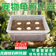 青松寵 蛭石烏龜孵化器烏龜?shù)皩Ｓ梅趸潋狎媸貙m產(chǎn)房爬寵孵化盒小甲魚 S碼孵化器1套 適合6個蛋