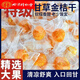 北京同仁堂【廣西特產(chǎn)】正宗甘草金桔九制柑橘清涼舒爽蜜餞果脯零食獨(dú)立包裝 甘草金桔*顆顆獨(dú)立小包裝*粒粒精 整箱100包[分5袋裝]