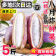 采緹順豐八月瓜新鮮水果現(xiàn)摘現(xiàn)發(fā)新鮮25年八月炸野果網(wǎng)紅8月瓜預(yù)知子 250g