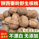 陜西秦嶺大山今年新山核桃老品種油香核桃老樹(shù)薄皮核桃裝原味 野生山核桃【5斤】中果