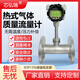 芯弘瑞熱式氣體質(zhì)量流量計壓縮空氣插入式管道式高精度氣體流量傳感器 其他流量儀表詳情請咨詢客服