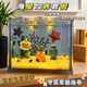 海星寵物活體迷你海洋爬寵飼養(yǎng)套餐海燕海鹽桌面觀賞寵物兒童禮物 海底世界比奇堡套餐【大號(hào)缸】