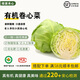 綠源禾心有機卷心菜新鮮采摘綠甘藍(lán)大頭包菜圓白菜沙拉輔食健康無農(nóng)殘蔬菜 1斤