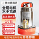 悠梵萌直流潛水泵1寸48V-60V家用農用抽水機電動(dòng)電瓶車(chē)船用抽水泵