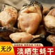 頂吉漁湛江生蠔干海蠣干牡蠣干特產(chǎn)無鹽淡干海產(chǎn)干貨新貨批發(fā) 生蠔干80克【肉質(zhì)厚實】