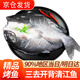 往牧叉尾鮰魚 三去開背 青江魚烤魚  腌制半成品 冷凍生鮮 江團(tuán)魚 1.6-1.8斤*3條
