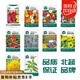 北蔬 花種子組合四季開(kāi)花太陽(yáng)花鳳仙花向日葵野花種籽 10種花種子套裝