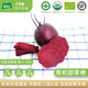 有機(jī)匯 有機(jī)甜菜根 紅菜頭 榨汁營(yíng)養(yǎng)療愈有機(jī)蔬菜 零農(nóng)殘 健康放心吃 500g