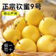 北道主樹上熟欽蜜9號百香果（順豐直發(fā)）生鮮水果整箱 芭樂香味精選禮盒 5斤裝 【特大果丨單果80-90g】