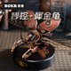 若客（ROKR）智控犀金龜 教師節(jié)禮物男生生日手辦diy機(jī)械擺件拼裝模型