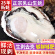 龍味福鮮活現剝去殼大號生蠔肉250g/盒 新鮮速凍牡蠣肉海蠣子火鍋燒烤 爆款推薦-2斤裝 凈重250g*4盒