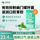 華熙當康225億益生菌香草薄荷口香爆珠阻斷口氣口臭異味滋潤口腔胃腔5盒
