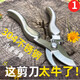 JCZS日本工具剪樹枝專用剪刀修枝剪不銹鋼園藝花草葡萄果樹摘果植物剪 銀色修枝剪(彎嘴)
