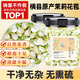 貢苑花草茶 茉莉花苞50g/罐 橫縣原產(chǎn)茉莉花茶干花蕾養(yǎng)生茶葉泡水喝的