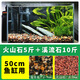 天然火山石溪流石魚(yú)缸裝飾套餐天然水族造景底砂鋪底專(zhuān)用成品 精洗精篩【50-70缸】5斤火山石+10斤溪流石