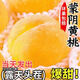 蒙陰黃桃新鮮水果當季整箱孕婦時(shí)令水果黃毛蟠桃脆甜桃子 凈重4.5斤大果【單果150g+】