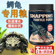 鱷龜龜糧鱷龜飼料佛鱷專(zhuān)用龜糧北美小鱷龜佛鱷爆刺高蛋白補鈣食物 【高蛋白/助力爆刺】1.5mm/265g