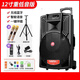 萬(wàn)利達 萬(wàn)利達廣場(chǎng)舞音響音箱戶(hù)外15寸移動(dòng)拉桿大功率重低音家用K歌j12j8 12寸j12W：2只U段話(huà)筒