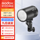 神牛（Godox） AD100pro外拍燈閃光燈大功率通用攝影燈鋰電池高速TTL便攜式口袋燈戶外人像 外拍AD100pro 閃光燈