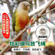 炫彩鸚鵡牽引放飛繩外出放飛專用繩不傷腳鳥用腳環(huán)虎皮文鳥遛鳥繩 炫彩放飛繩【3m+3.5mm腳環(huán)】