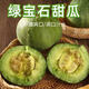 正宗脆甜綠寶甜瓜 新鮮現(xiàn)摘甜瓜孕婦水果現(xiàn)摘現(xiàn)發(fā)綠寶甜瓜 精選裝單果150g+ 5斤帶箱凈重4.5斤