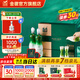 金徽酒 【送人送禮】柔和H3 濃香型白酒 45度 500mL 2瓶 禮盒裝+分酒器酒杯