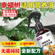 幸福樹營養(yǎng)液專用肥料急救黃葉落葉子掉發(fā)黃枯萎爛根植物花卉盆栽 幸福樹營養(yǎng)液急救黃葉落葉專用肥