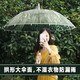 香柚小鎮(zhèn)（Pomelo Town）雨傘透明傘大號(hào)長(zhǎng)柄直桿晴雨傘簡(jiǎn)約純色成人便攜晴雨兩用傘8骨
