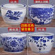 大水缸庭院大缸景德鎮青花瓷水缸金魚(yú)缸荷花碗蓮睡蓮盆烏龜缸酒店 直徑22cm高度15cm