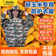 掰玉米防護服防刮臉衣服專(zhuān)用掰玉米丫神器農村下地干活帽透氣防曬護臉?lè )牢孟x(chóng)蜜蜂衣服 【小花色】加厚防護服+網(wǎng)紗帽