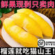 鹿凌青正宗貓山王榴蓮肉冰凍冷凍批發(fā)應季水果當季去殼榴蓮純肉發(fā)順豐 2斤裝【甜糯不夾生】