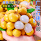 京地達(dá)廣東石硤龍眼 凈重4.5斤單果7g 新鮮桂圓應(yīng)季水果源頭直發(fā)包郵