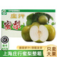 橙市碼頭上海莊行甜蜜梨【JD送貨到家】奉賢特產(chǎn)翠冠密梨大果蜜梨子禮盒裝 12粒特大果禮盒 單果370g+凈重9斤