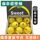 【順豐】南非橙柚 甜柚葡萄柚 香柚新鮮水果禮盒 禮盒裝12個(gè)大果
